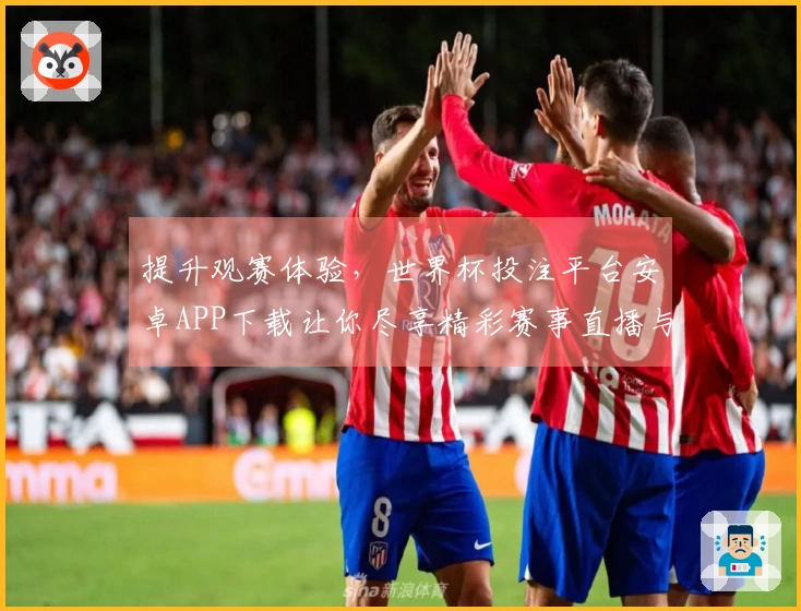 提升观赛体验，世界杯投注平台安卓APP下载让你尽享精彩赛事直播与便捷功能