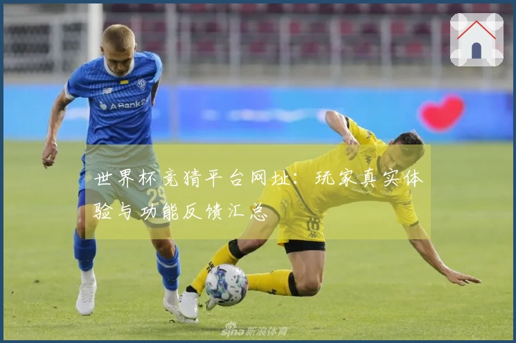 世界杯竞猜平台网址：玩家真实体验与功能反馈汇总