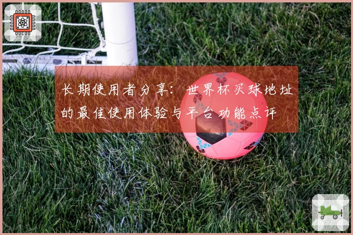 长期使用者分享：世界杯买球地址的最佳使用体验与平台功能点评