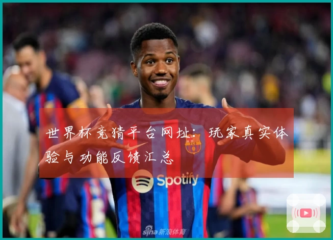 世界杯竞猜平台网址：玩家真实体验与功能反馈汇总