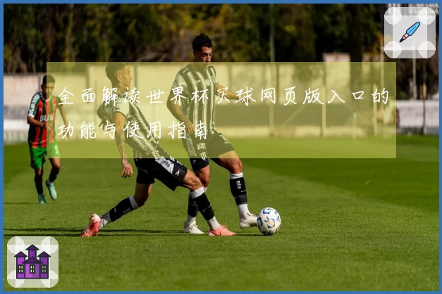 全面解读世界杯买球网页版入口的功能与使用指南